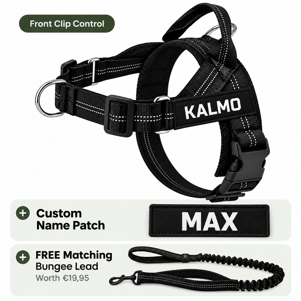 Kalmo Personalized Harness + Lead