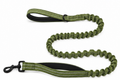 Kalmo Bungee Lead
