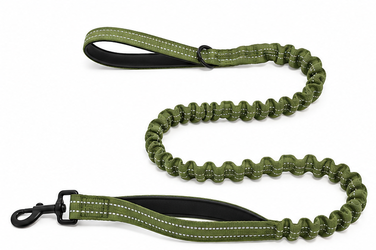 Kalmo Bungee Lead